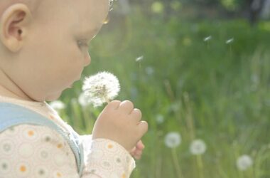 Ontstaan van een allergie